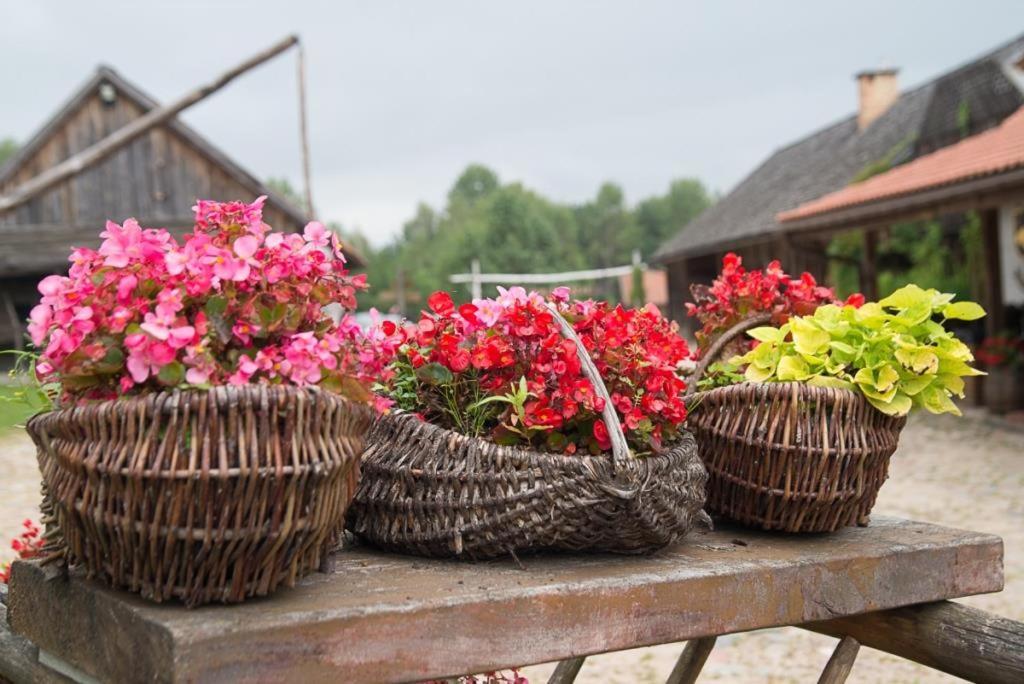 Gosciniec Folwark Nadawki Bed and Breakfast Sienkiewicze Eksteriør billede